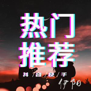 群星-执着（弹鼓版）（另类人 / 林柯轩 remix）